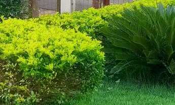 Imagem 2: Rancho pra alugar