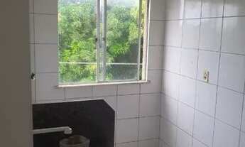 Imagem 5: Oportunidade Chácara Brasil