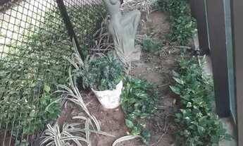 Imagem 3: Excelente apt em ótima localização na Encruzilhada!