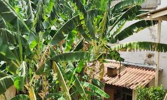 Imagem 4: Grajaú Vendo Casarão com amplo terreno 2.200.000,00