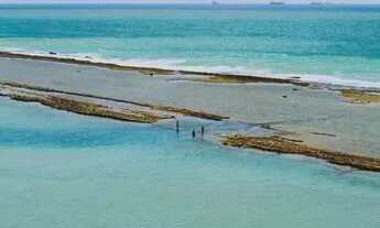 Imagem 3: Apartamento para venda possui 56 metros quadrados com 2 quartos em Muro Alto - Ipojuca - P