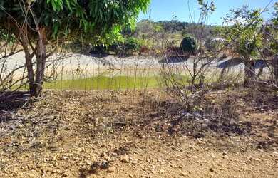 Imagem 4: Fazenda com Terra de Cultura boa e com Lagoa Concretada! Parque Sumidouro