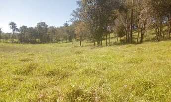 Imagem 5: Vende 2 hectares paiolzinho 350 mil