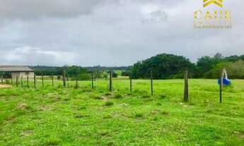 Imagem 2: OPORTUNIDADE!!! 35 Hectares com infraestrutura, apenas 3,5km da RS040