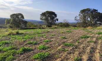 Imagem 3: Lotes de 500m² Terreno / lote com venda por R$60.000