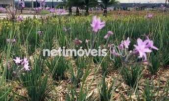 Imagem 3: Venda Lote em condomínio Paranoá Paranoá