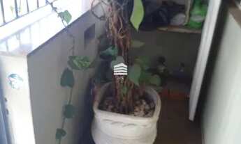 Imagem 2: Sobrado próx metrô V Mariana COMERCIAL RESIDENCIAL