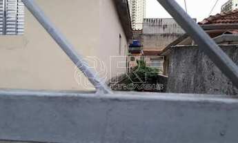 Imagem 7: São Paulo - Casa Padrão - Tatuapé