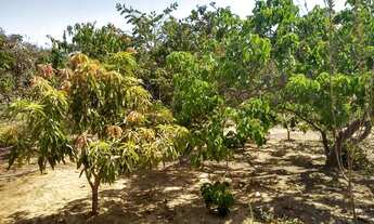 Imagem 2: Vendo Rancho em Pompeu