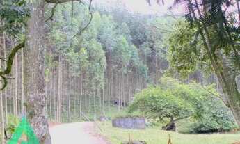 Imagem 7: Ótimo terreno rural, em Benedito Novo!