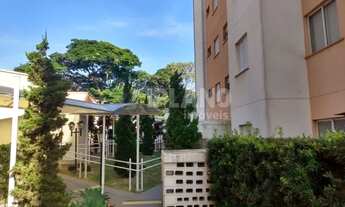 Imagem 3: Locação de Apartamentos / Padrão na cidade de São Carlos