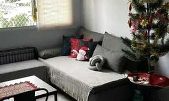 Imagem 2: Lindo apartamento no Cambuci, com 32m², 1 dormitório, 1 suíte, mobiliado