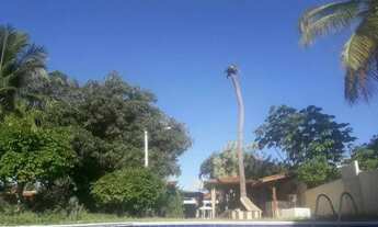 Imagem: Paraiso tranquilo