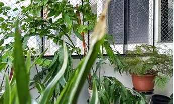 Imagem 4: Apartamento á venda com 4 dormitórios e 4 vagas, localizado na Lapa