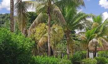 Imagem 4: Araçatuba - Chácara - Chácaras Califórnia