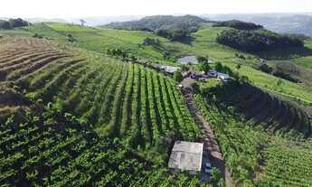 Imagem 5: Área de terras com 2,5 hectares em Monte Belo do Sul