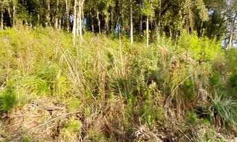 Imagem 6: Terreno no bairro Vila Suzana em Canela!