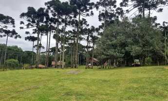 Imagem 4: Chacara em condomínio campo alegre