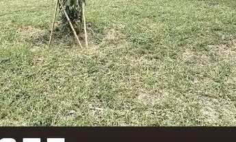 Imagem: Venda Residential / Land Lot Nova Lima MG