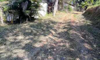 Imagem 4: Sitio em Taubaté, aceito 100% de permuta