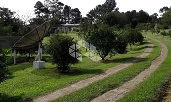 Imagem 6: Sítio à venda em Viamão/RS