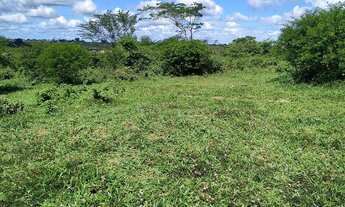 Imagem 6: Vendo terreno (GRANDE OPORTUNIDADE