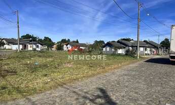 Imagem 3: Lote em Rua São Francisco de Assis - Querência - São Francisco de Paula/RS