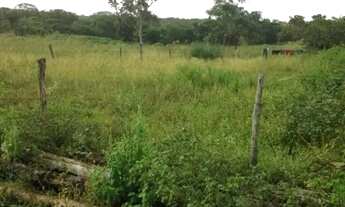 Imagem 4: A&M Imoveis vende exelente Fazenda em Minas Gerais com 525Hectares