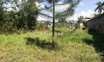 Imagem 7: Lote em Rua Giovani Papini - Nova Trieste - Jarinu/SP