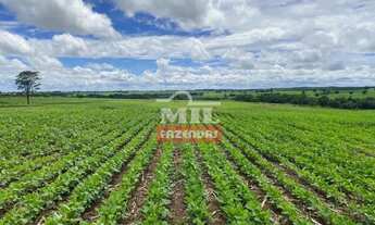 Imagem: Fazenda 36 alquieres (174,24 hectares) Edealina