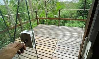 Imagem 3: Chalé de Madeira com 2 quartos - Seropédica (proximo a Rural), quintal de frutiferas 240m2