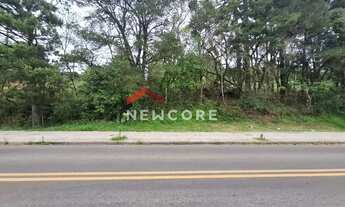 Imagem 2: Lote em Rua Homero Pacheco - Ulisses de Abreu - Canela/RS