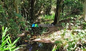 Imagem 3: FAZENDA À VENDA - 08 HECTARES - BALDIM (MG