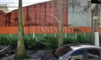 Imagem: Galpão/Depósito/Armazém em Tatuapé