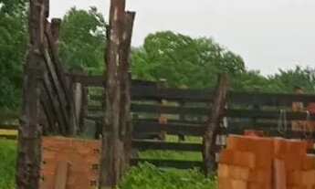 Imagem 7: SÍTIO 27,3 HECT. SADIA 2 Pego casa e veículo