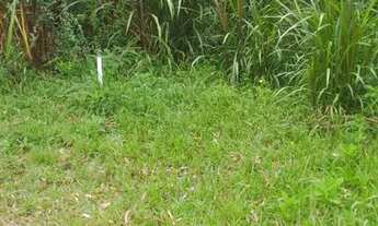 Imagem 7: Chácara Troca 3.100m2 em SJP na Roça Velha, Troca