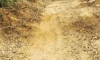 Imagem 2: Vendo lote no Papamilho