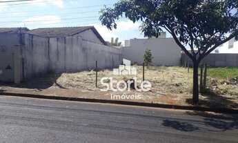 Imagem 4: Terreno à venda, 250 m² por R$ 260.000,00 - Alto Umuarama - Uberlândia/MG