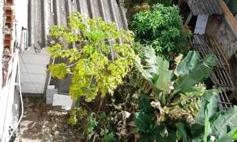 Imagem 4: Terreno em Jardim Laura por R$ 200.000. Imóvel Rural em São Paulo/SP