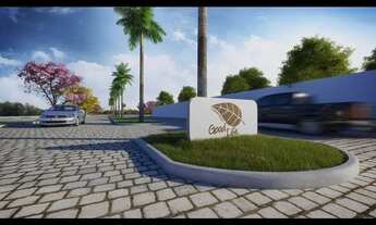 Imagem: Grande oportunidade em lagarto