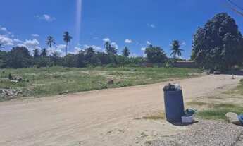 Imagem 7: Aluguel de terreno em São Miguel dos Milagres - Povoado de Porto da Rua - 1.130,95 m2