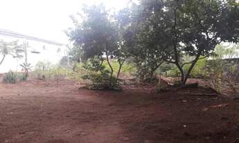 Imagem 3: Terreno Padrão em Bauru