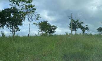 Imagem: Procuro fazenda para alugar