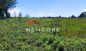 Imagem 3: Lote em Rua Bracatinga - Colinas - São Francisco de Paula/RS