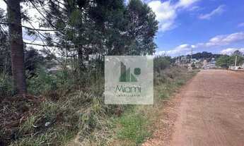 Imagem 5: Terreno à venda, 1208 m² por R$ 550.000,00 - Vila Nova - Quitandinha/PR