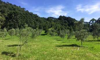 Imagem 2: Fazenda/Sítio/Chácara para venda possui 19000 metros quadrados com 2 quartos
