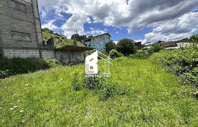 Imagem 7: CASA A VENDA COM DOIS TERRENOS EM FLORES DA CUNHA