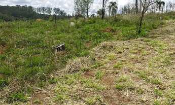 Imagem 5: Terreno 600m² ótima qualidade de solo