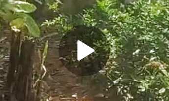 Imagem: Venda 75.000