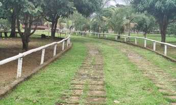 Imagem 2: Chacara de 24.000 mil m² na ponte alta sul, chacara na ponte alta de cima 24 mil metros ²